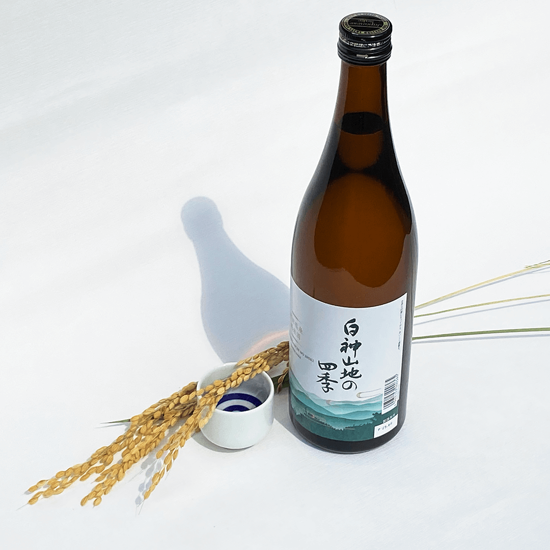 白神山地の四季