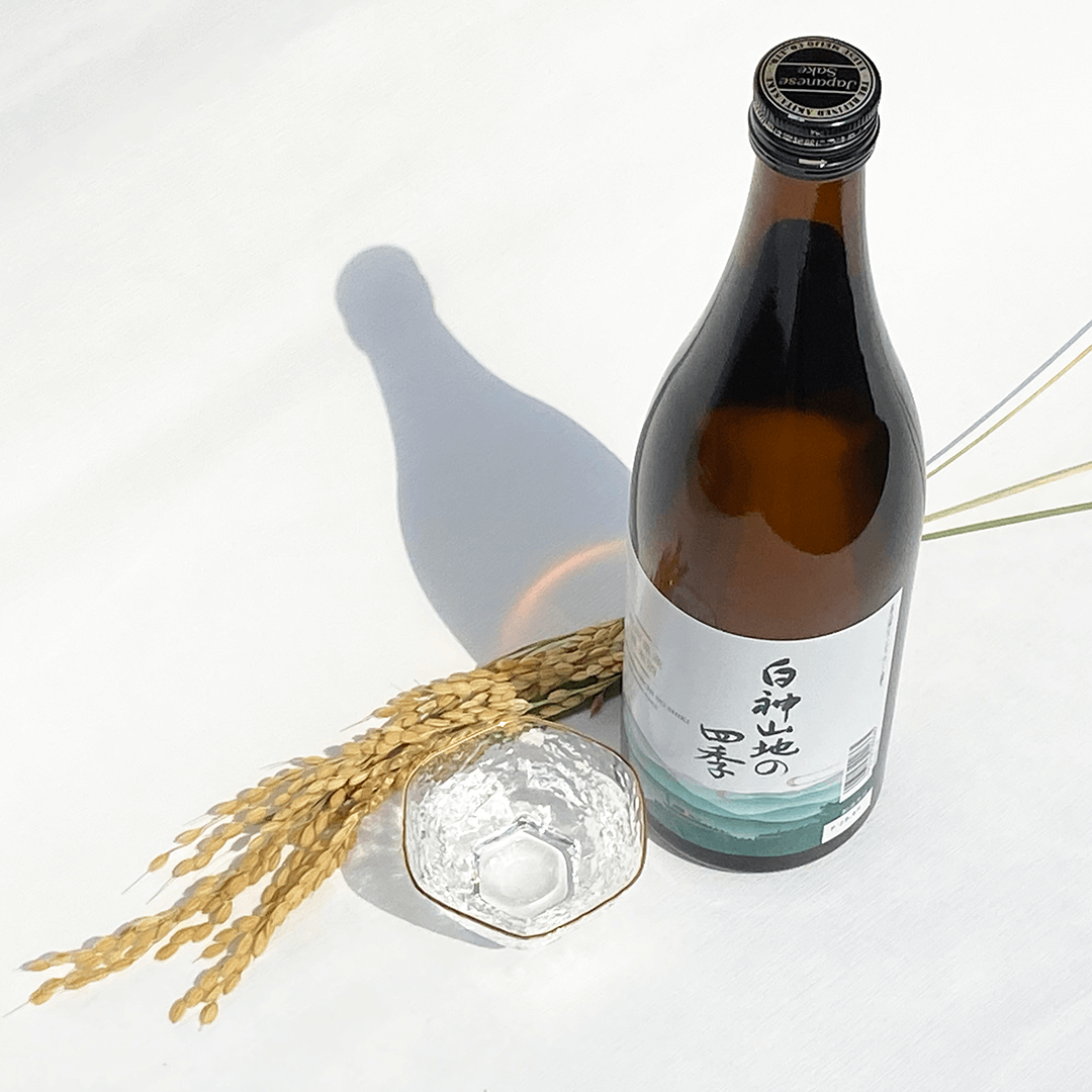 白神山地の四季