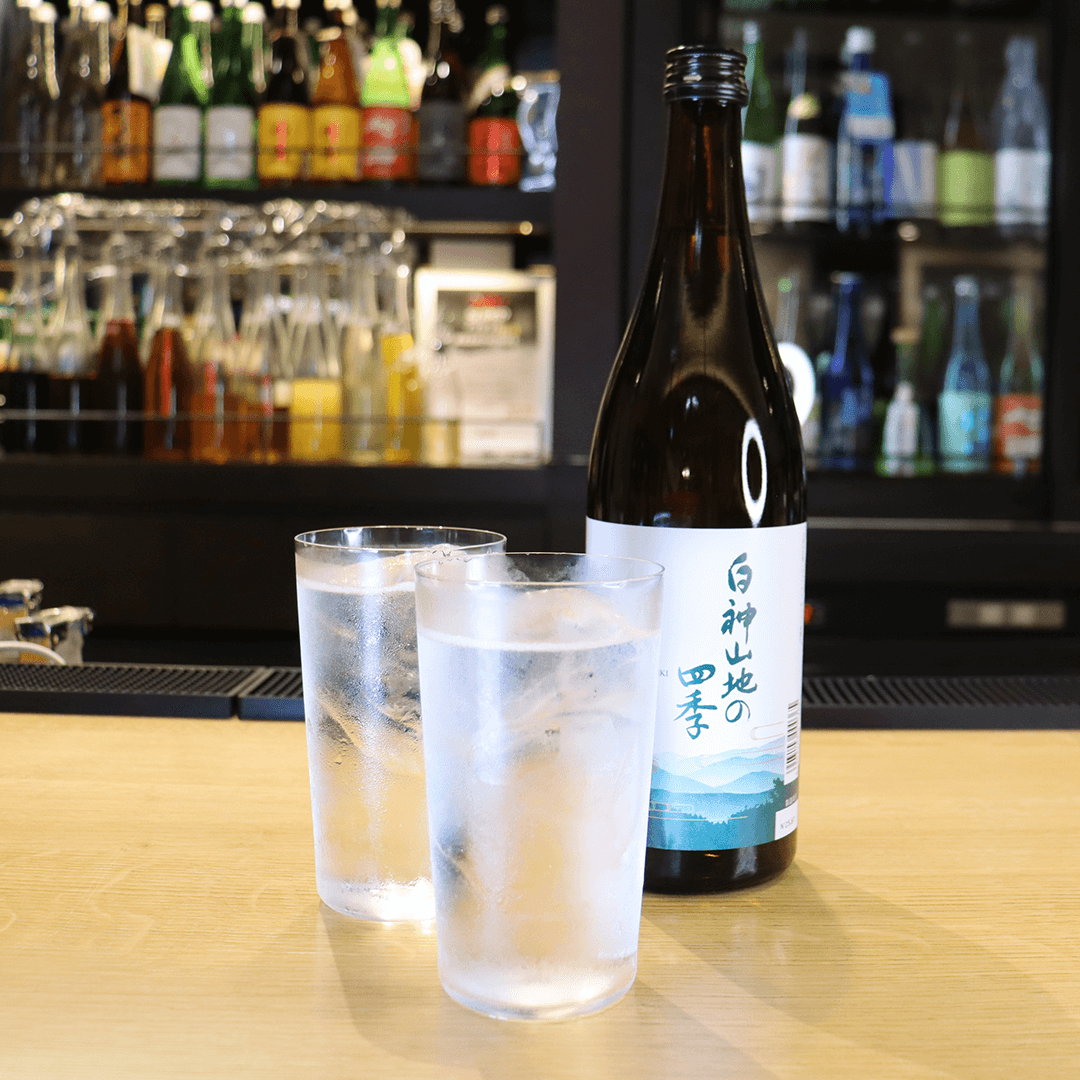 白神山地の四季サケハイ