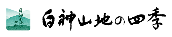 白神山地の四季