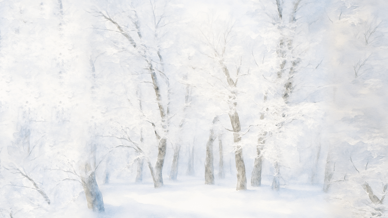 12月の白神山地の四季、深まる冬の味わい